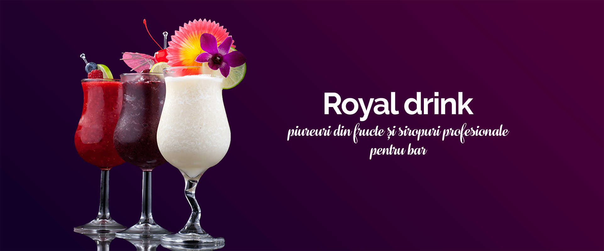 Piureuri din fructe si siropuri profesionale royal drink